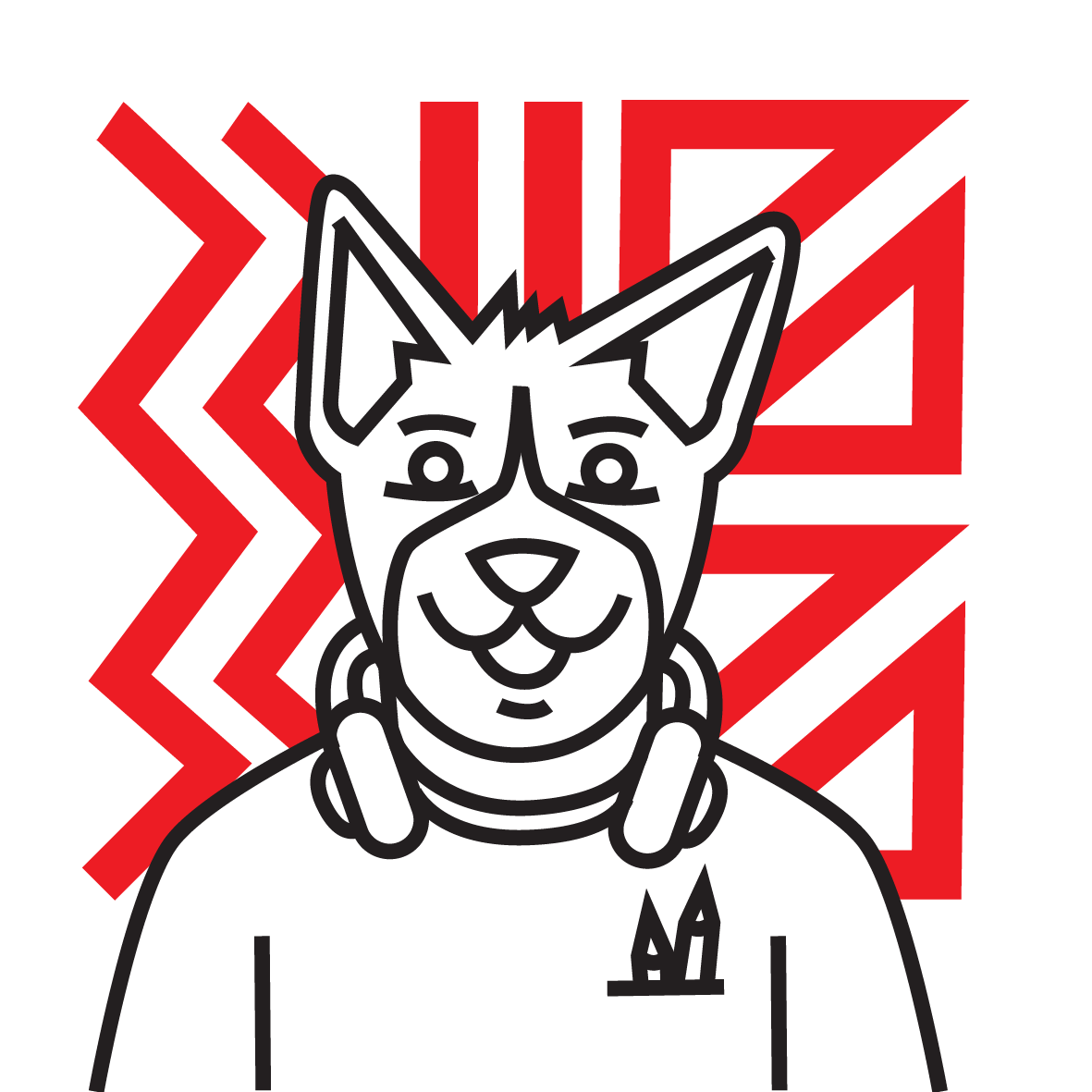 Wag The Dog - Meta Ads Uzmanı İş İlanı